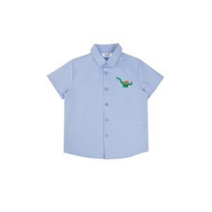 Trendyol Blue Embroidered Boy's Woven