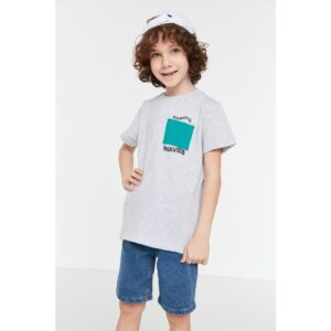 Trendyol Gray Front and Back Printed Boy Knitted