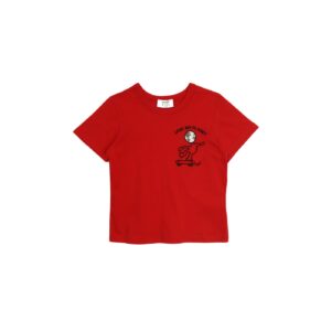 Trendyol Red Embroidered Boy Knitted