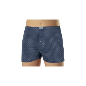 Men's shorts Andrie blue (PS 5604