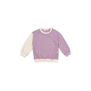 Trendyol Lilac Color Block