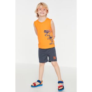 Trendyol Orange Printed Boy Knitted Top-Top