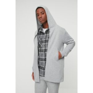 Trendyol Gray Men's Regular Fit Hooded