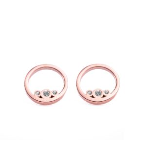 Ringy Rose Gold Earrings