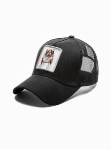 Ombre Men's cap H071