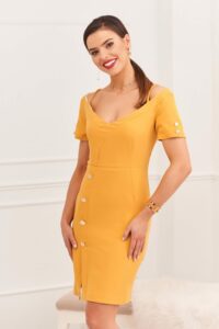 Elegant dress with mustard carmen