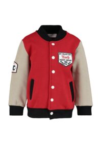 Trendyol Red Embroidered Boy