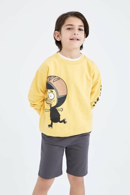 DEFACTO Boy Regular Fit Sweatshirt